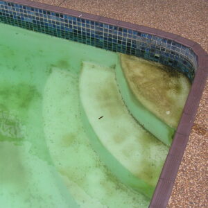 Scum in pool