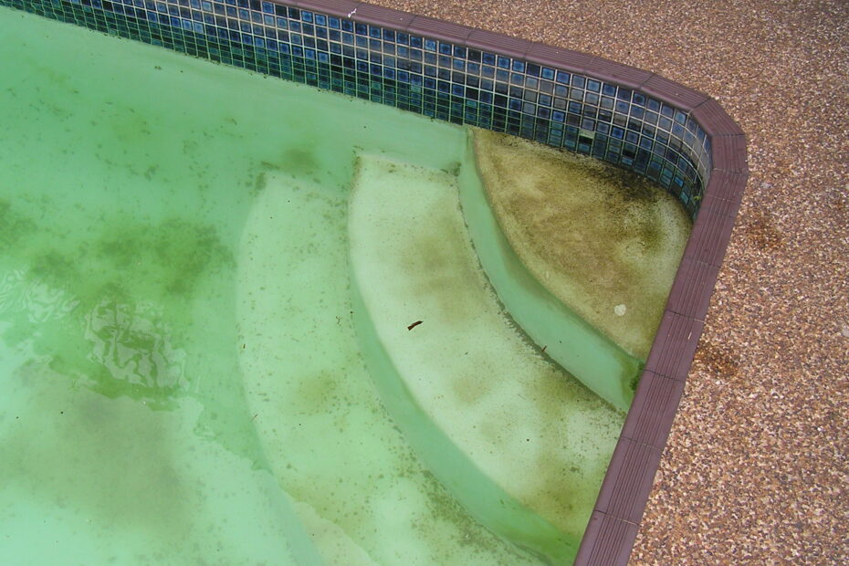 Scum in pool