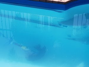 Cloudy water as result of poor pool water chemistry - salt chlorinator